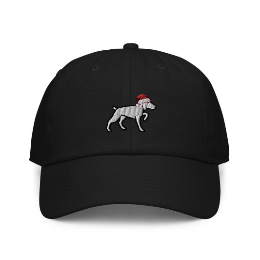 Gnonies Holiday Dog Dad Hat