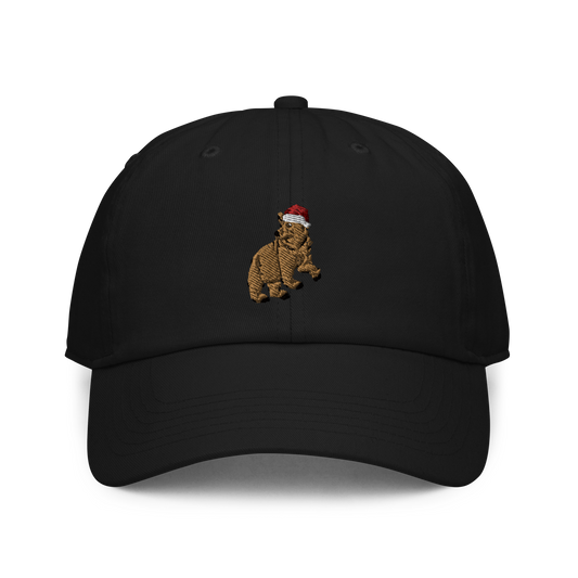 Gnonies Holiday Bear Dad Hat