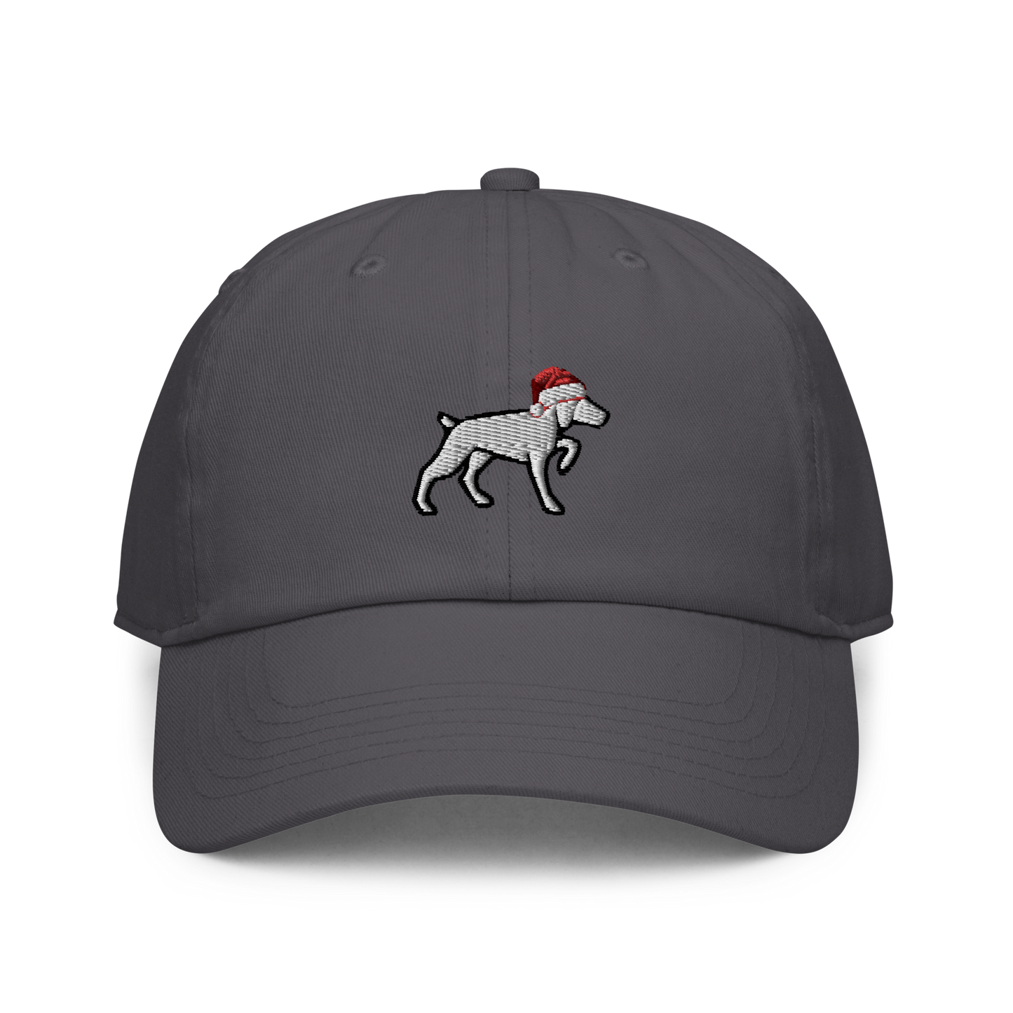 Gnonies Holiday Dog Dad Hat