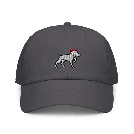 Gnonies Holiday Dog Dad Hat