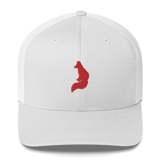 Fox Trucker Hat